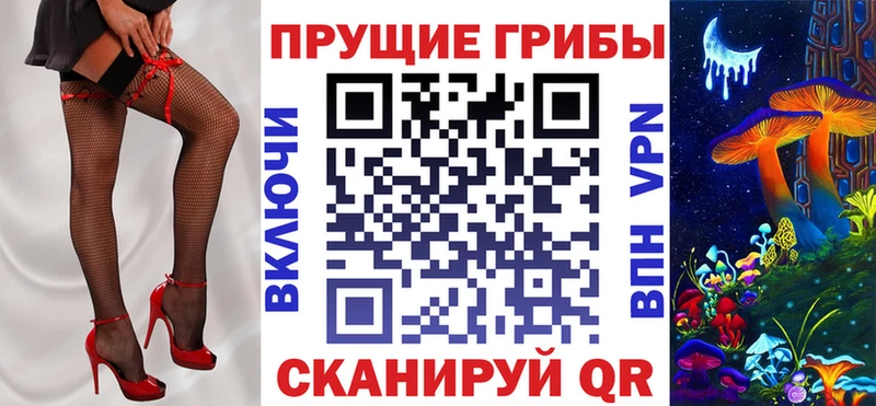 shop официальный сайт Духовщина Галлюциногенные грибы Psilocybine cubensis